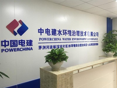 國(guó)企合作案例